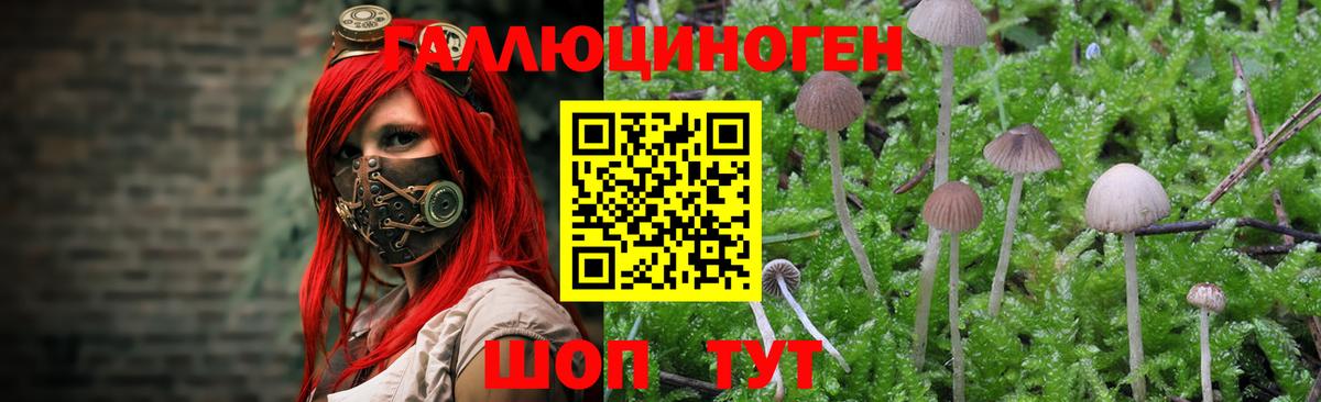 Галлюциногенные грибы Cubensis  Вход с VPN  Каспийск 