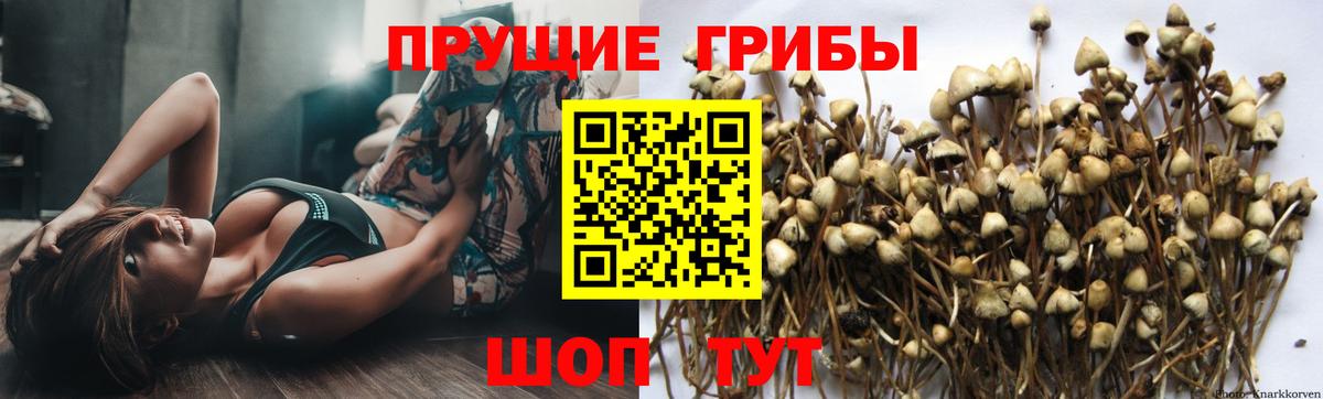 Галлюциногенные грибы ЛСД Каспийск